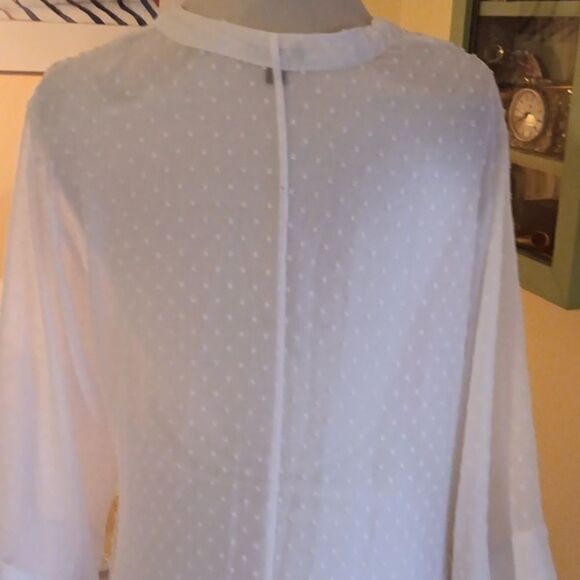 Express Dotted Swiss Duster - Picture 6 of 10